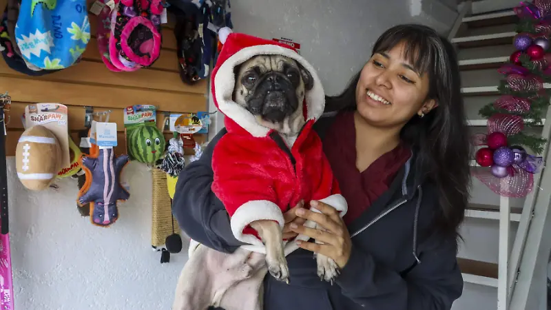 251208_ROPA NAVIDEÑA PARA MASCOTA_HA_4